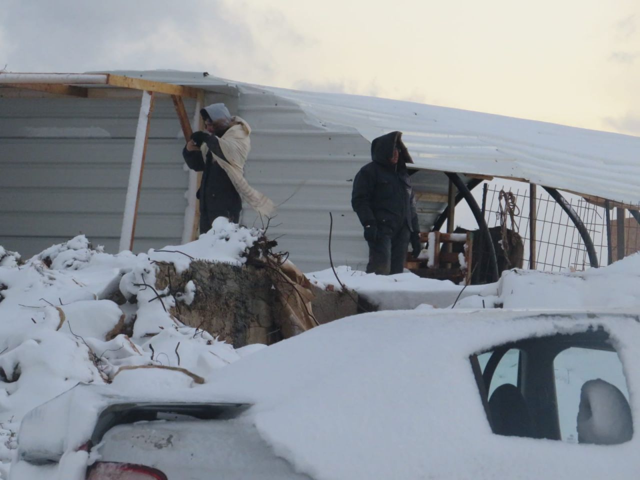 רמת מגרון (צילום: אלישע ירד)